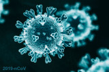Coronavirus : Remettre les pendules à l’heure