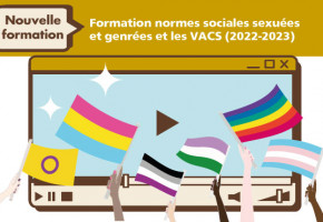 Formation normes sociales sexuées et genrées et les VACS (2022-2023)