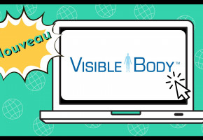 Nouvelle ressource en anatomie humaine à la bibliothèque : la suite Visible Body