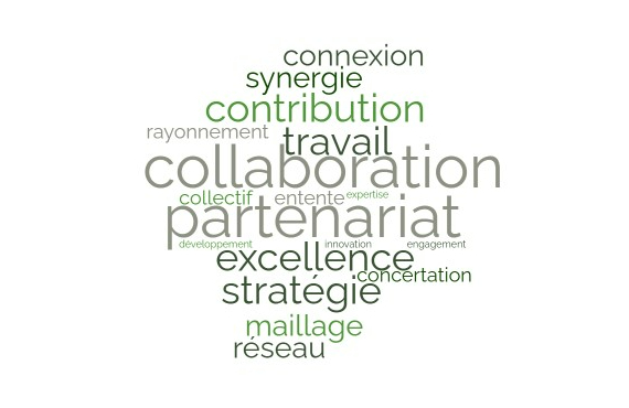 Un savoir partagé: retour sur une année de collaborations inspirantes